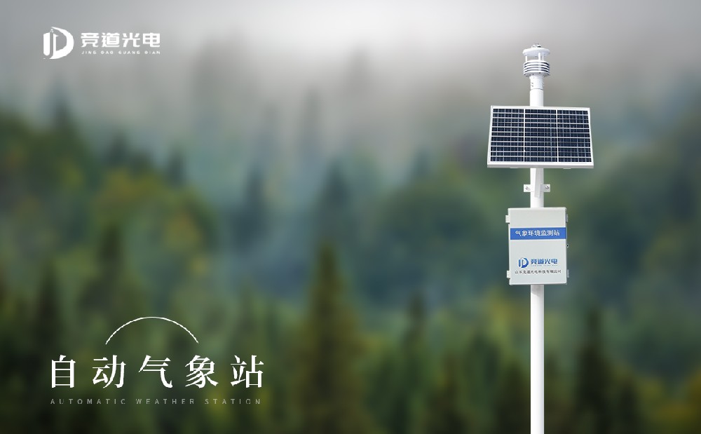 ǳ̸�������Զ�����վ������