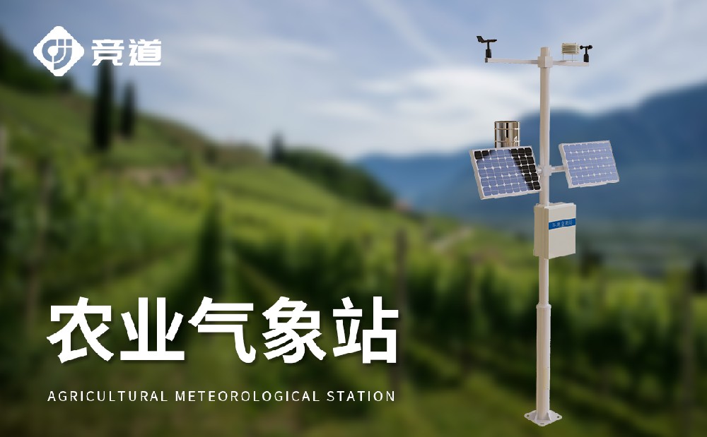 ũҵ����վ����ô��������