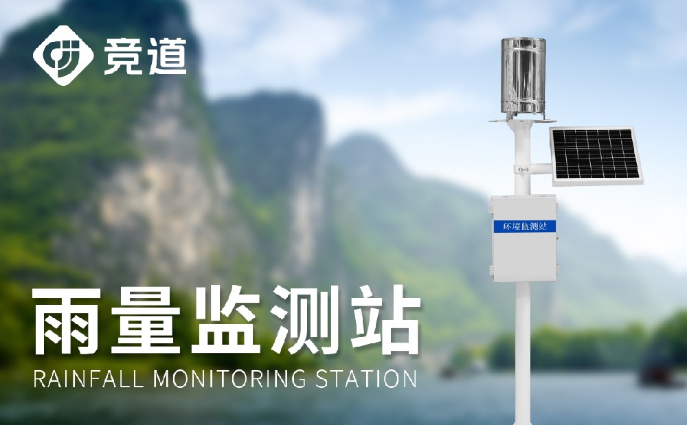 �Զ��������վʵʱ��⽵��������