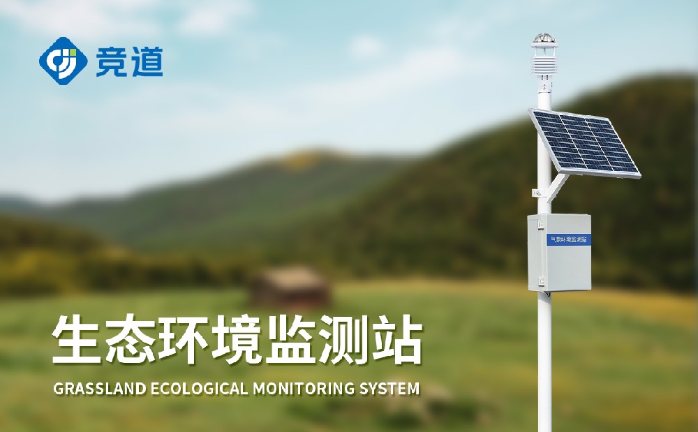 ʮ�����Զ�����վ��������������