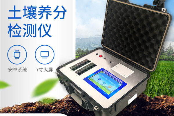 ���������Ǽ���Ǯ