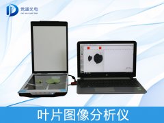 ҶƬͼ�������η�������