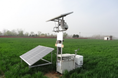 ����Զ������������׽����