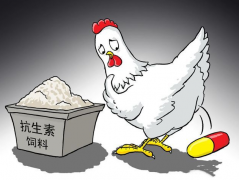 ʳƷ�����ز�����������μ����