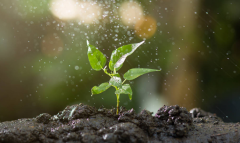 ũҵ����վ���ν������ݴ���