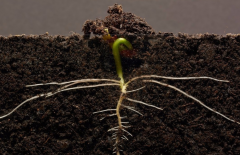 ΪʲôҪ���������л��ʼ����