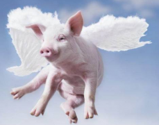 ���������׻������÷��������ļ�⹤����